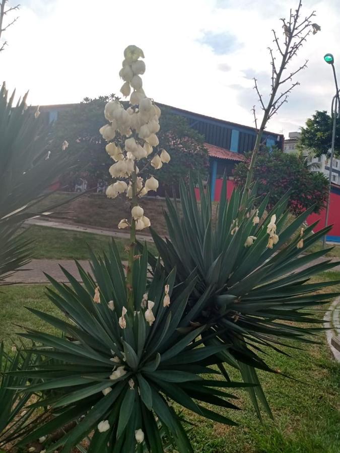 Apartamento Mobiliado 10 Minutos Da Praia Do Forte Cabo Frío Exterior foto
